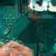 Veterinary surgeon operating
